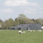 SheepFieldBarn_SheepFieldView_(c)DSDHA (1)